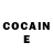 Cocaine Fish Scale Robert Negoita