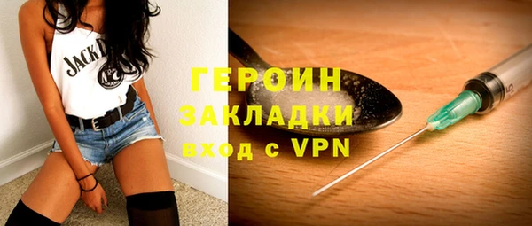 гашик Алексин