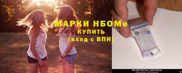 гашик Алексин
