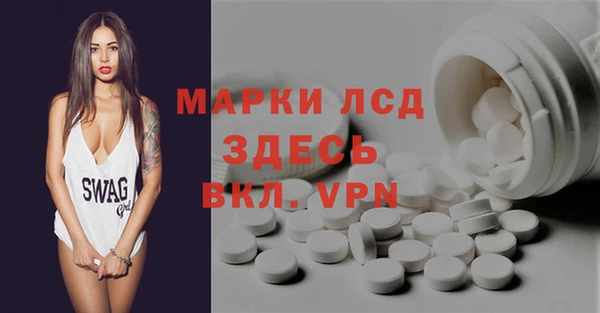 гашик Алексин