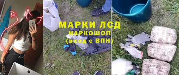гашик Алексин
