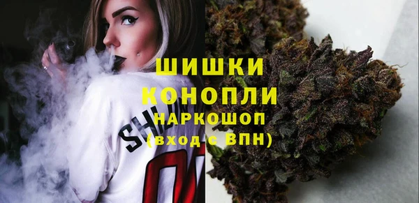 ГАЛЛЮЦИНОГЕННЫЕ ГРИБЫ Алексеевка