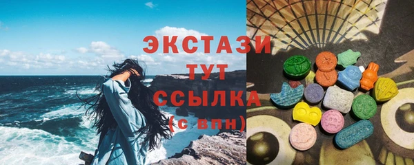 гашик Алексин