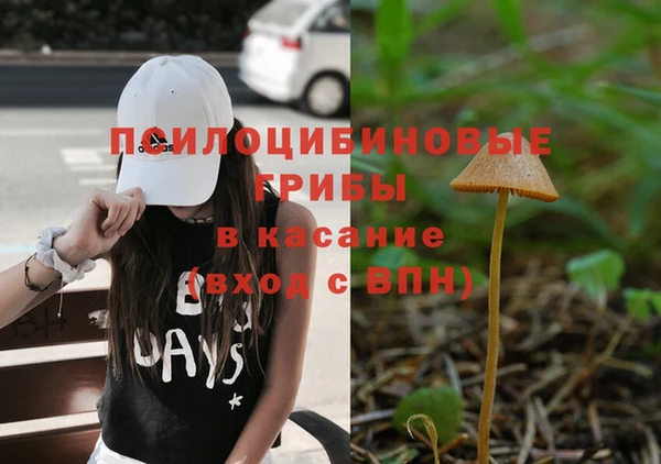 прущие крисы Алзамай